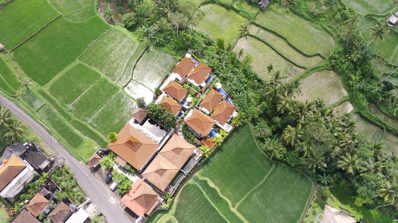 Danakha Villa Ubud تيغالالانغْ المظهر الخارجي الصورة